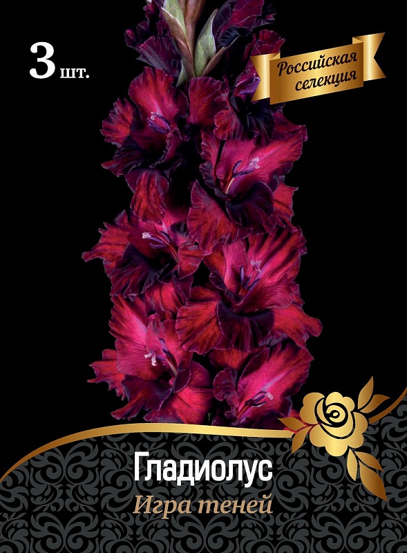 Гладиолус Игра Теней 1 уп. (3 шт.)